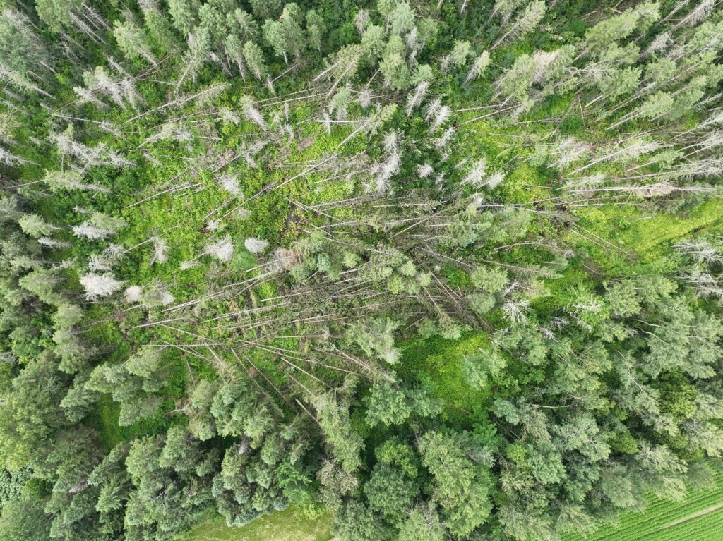 tornado damage