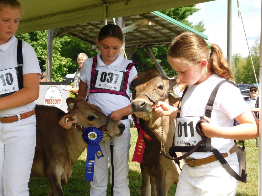 Riceville Fair