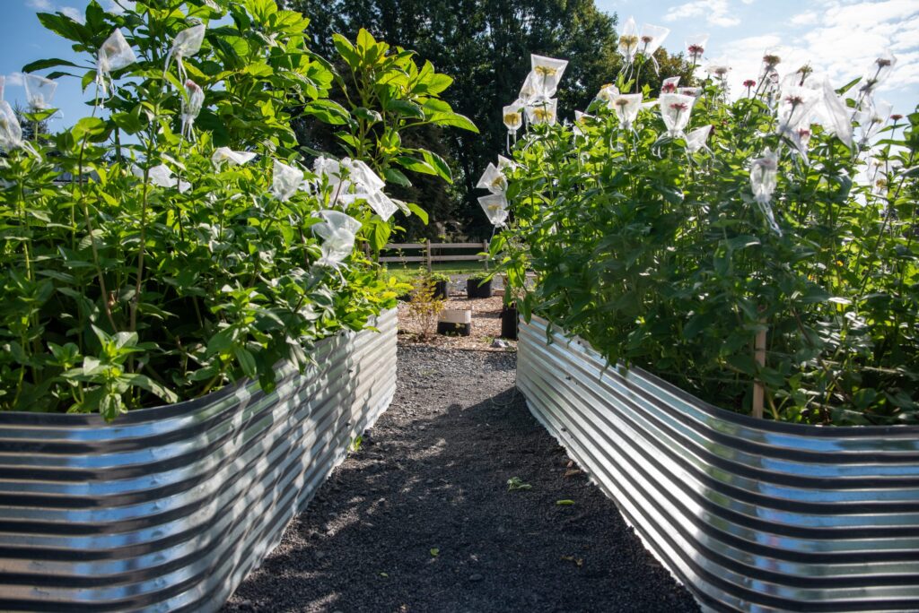 A new green focused event, the Growing Green Fair, is bringing sustainability workshops and seminars to Clarence-Rockland. More than 50 vendors will take part in the event at L’Escale high school on Sunday, March 3, from 10 a.m to 4 p.m. (File photo)
