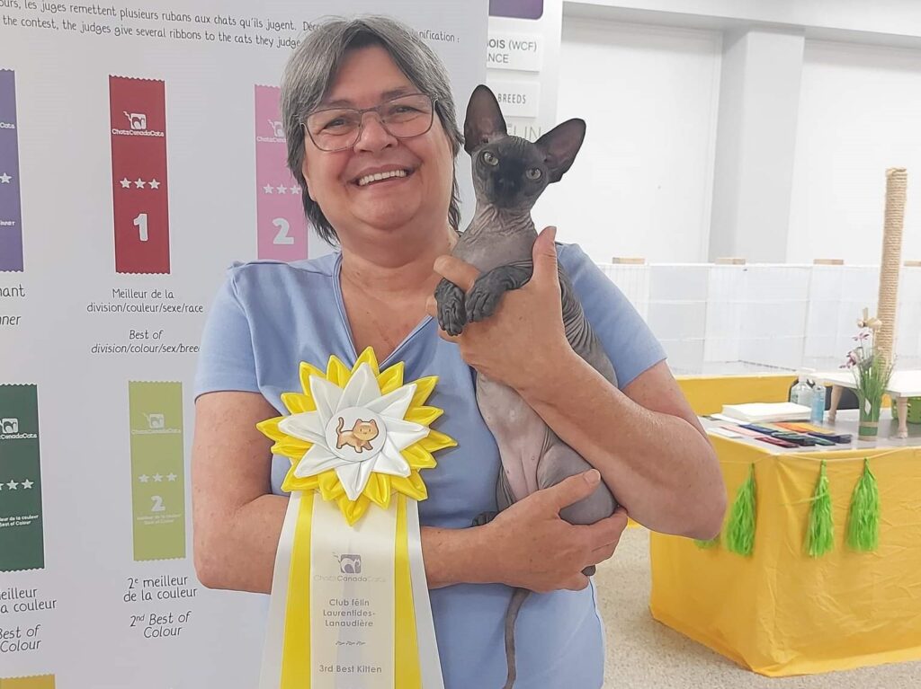 cat show