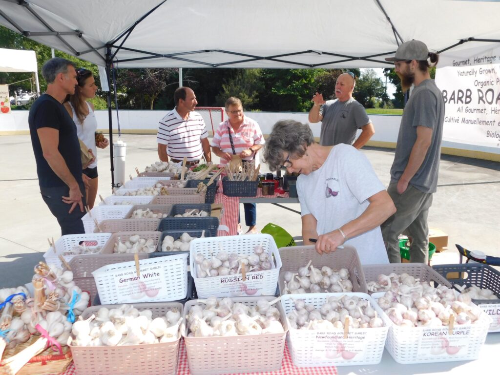 garlic fest promo