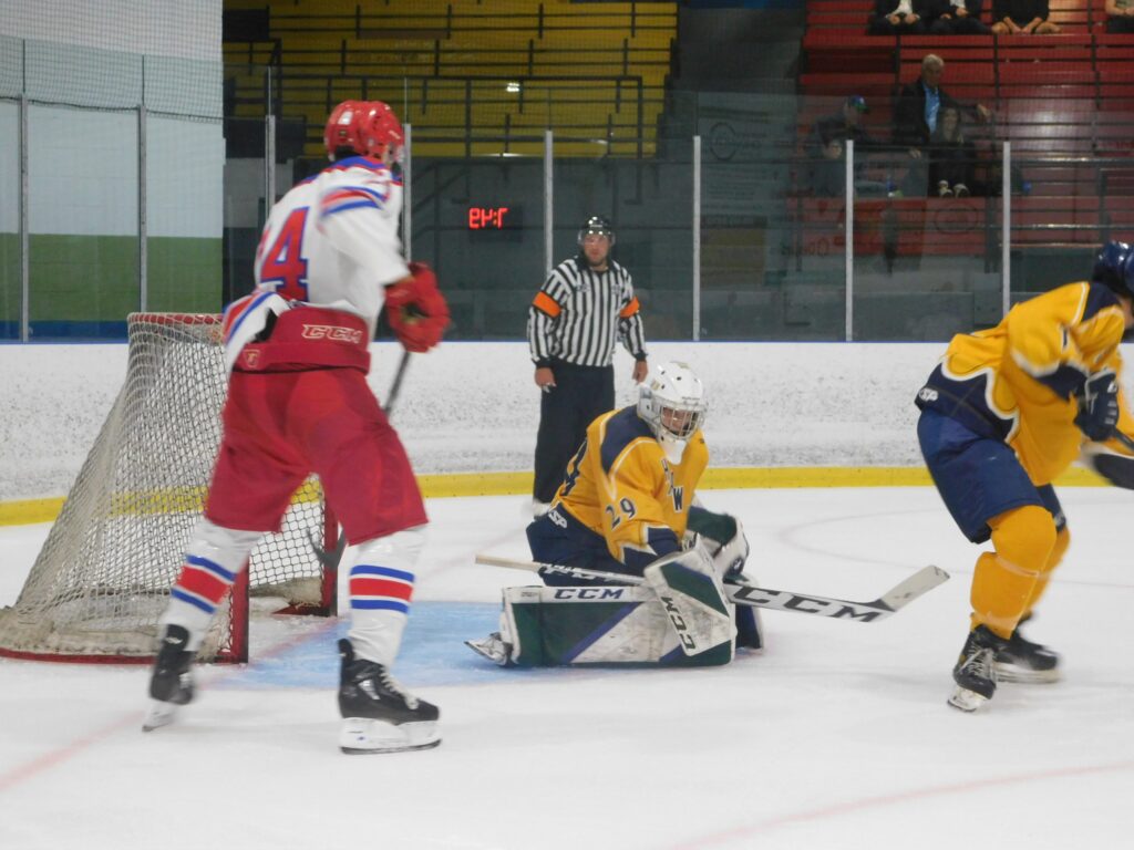 Hawks hockey