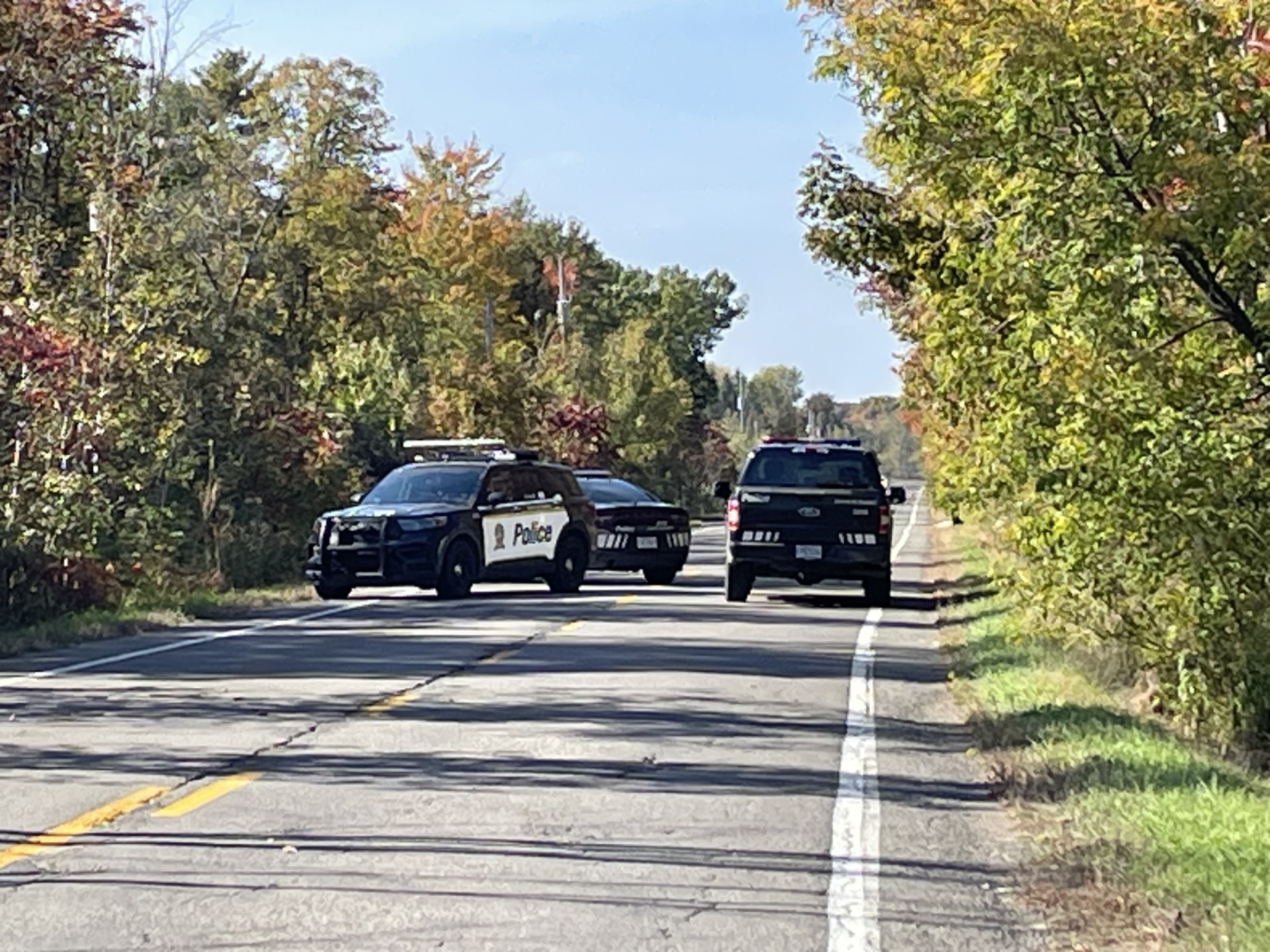 fatal MVA with deer