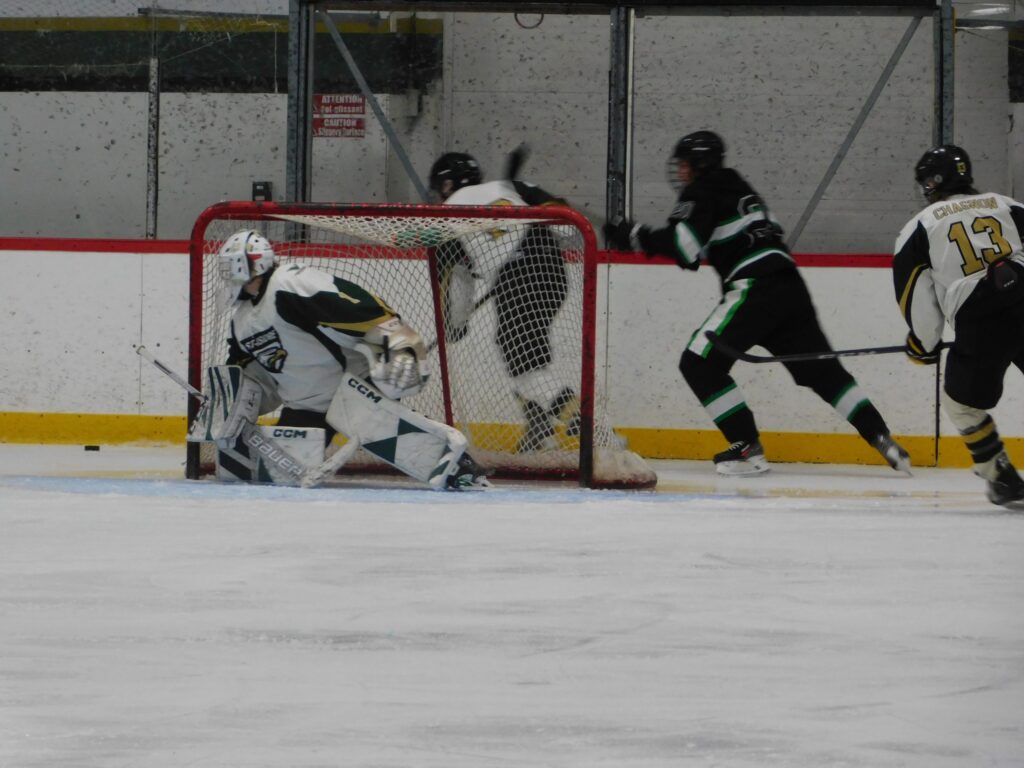 Aigles hockey