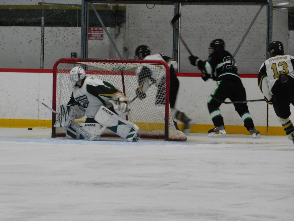 Les Aigles de Saint-Isidore sont couramment au sixième rang dans la Ligue de hockey junior de la capitale nationale.