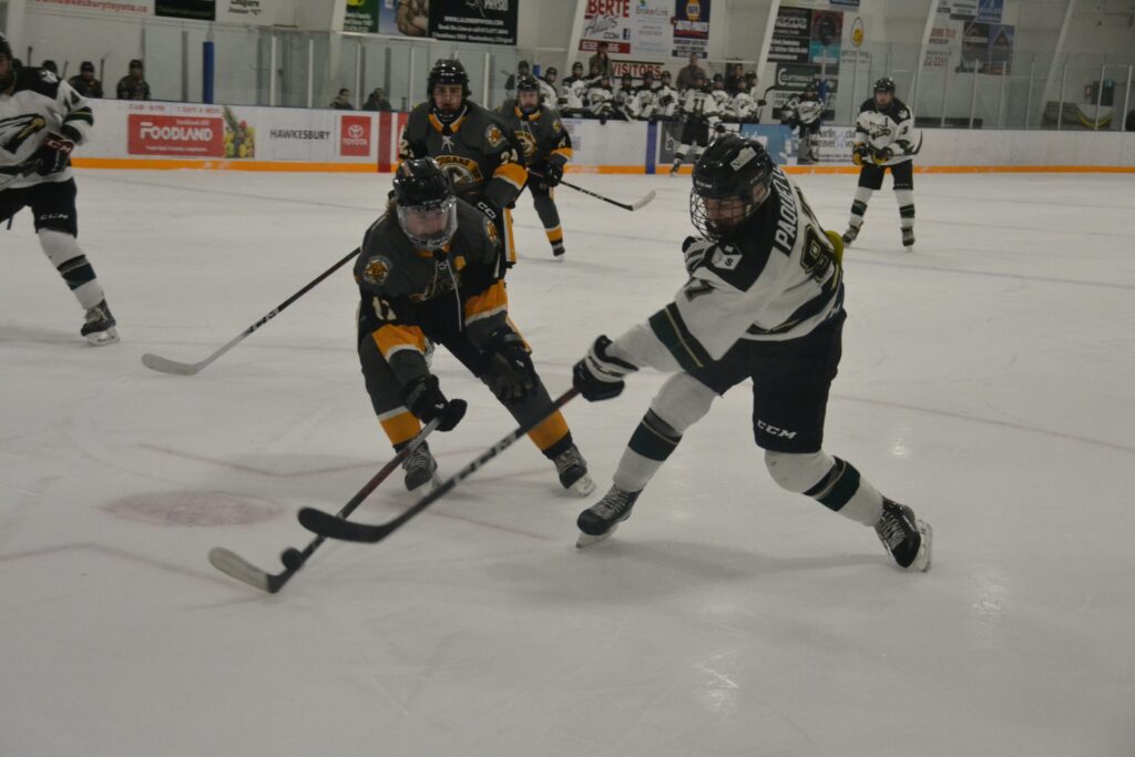 Les Aigles terminent la série en sixième place dans les quarts de finale de la Ligue de hockey junior de la capitale nationale.