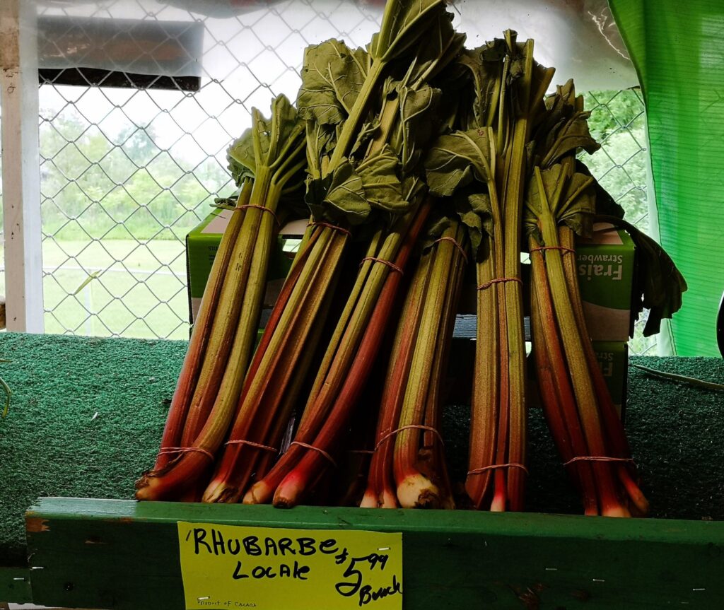Rhubarb can be used in many creative ways.