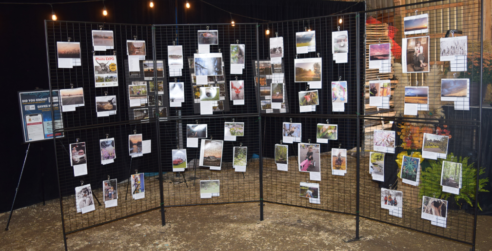 Toutes les photographies participantes de l'Expo photo 2024 présentées à la Foire de Russell, célébrant le talent local et la créativité de la communauté.