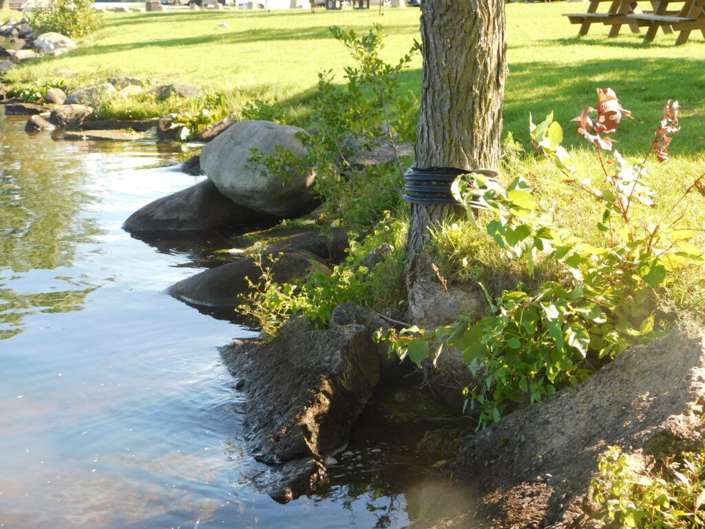 Russell Township Council has approved a new Tree Removal and Replacement Policy, opting to focus on tree planting and public education instead of introducing an Urban Tree By-law.