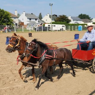 Russell Fair weekend