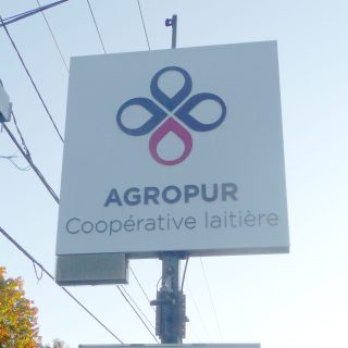 07974b12-ae4a-47cb-bba0-540d7e1656c6