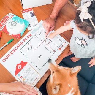 13674071-f97b-4cae-b4d8-c2e08f90d0d2