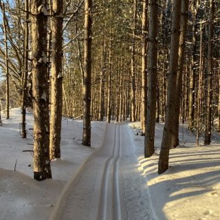 1a0f8ebf-a46d-4c78-b808-60ab82ca6462