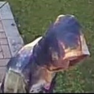 340f8efe-d97b-44e6-9912-9d7fe95f0f35