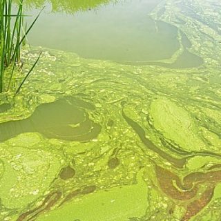 3d9df87e-63df-4224-ad4a-64a802842021