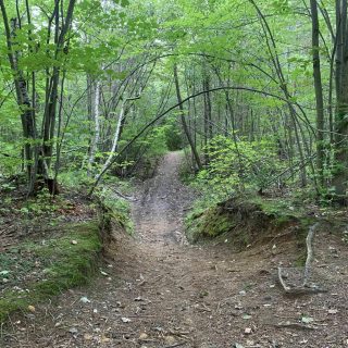 4e048d23-3670-4b73-94f2-654eeddaee00