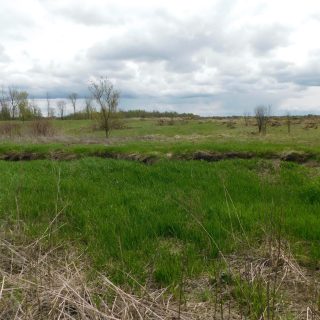 66c9220e-d7c9-475d-bd19-680dffe483fa