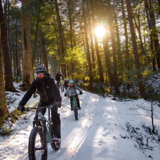 96d0c88d-c49e-4014-a654-f9c4e18c06e7