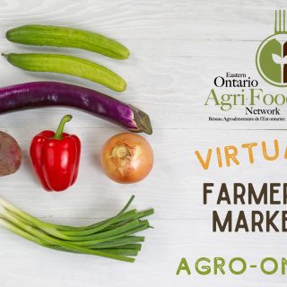 97c3797e-a04c-4be4-ab3a-7f9aeafa4a17