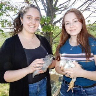 9cfd38cc-5259-4fdb-9d4d-0c8421a2a307