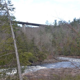 ACTAM-Pont_Suicides_50