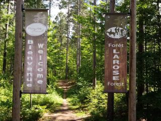 United Counties of Prescott and Russell council has approved a land exchange that will expand the Larose Forest by a net 49 acres while supporting planned residential development near Limoges.