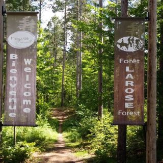 United Counties of Prescott and Russell council has approved a land exchange that will expand the Larose Forest by a net 49 acres while supporting planned residential development near Limoges.