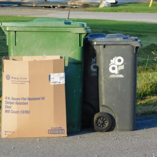 AP garbage collection
