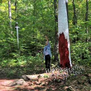ARTCD-NatureTradition1b