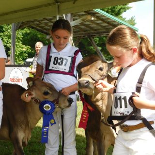 Riceville Fair