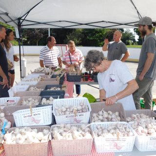 garlic fest