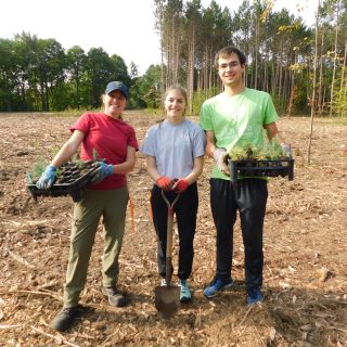 Boise Larocque treeplanting