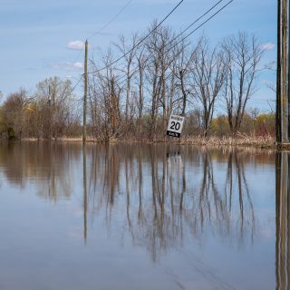 flood update