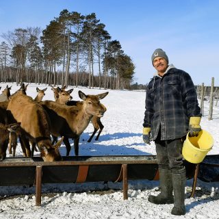 Hans Lindenmann, de la ferme Trillium Meadows, nourrit ses cerfs rouges par une journée d'hiver glaciale. Originaires de Suisse, les Lindenmann gèrent la ferme familiale de Vankleek Hill depuis 1998.
