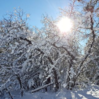 tempete verglas