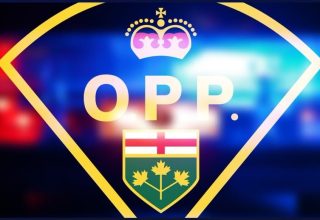 OPP GENERAL IMAGE