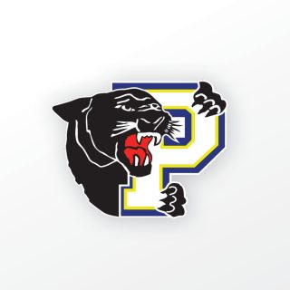 Les Panthères d’Embrun affronteront les Vikings de Casselman le jeudi 16 octobre à 19h30 au Complexe J.R. Brisson.