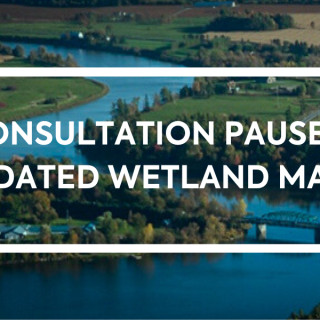 An image on the SNC website indicates that consultations have been suspended. SNC has decided to suspend its wetland mapping update and regulatory consultations, following an order from the provincial government. Landowners complained that the process had taken them by surprise and that better communication from conservation authorities was needed.