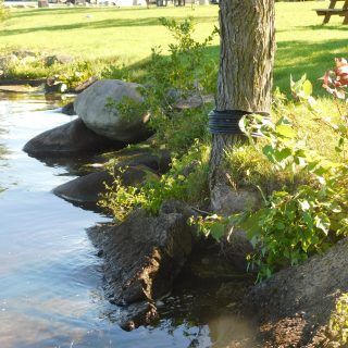 Russell Township Council has approved a new Tree Removal and Replacement Policy, opting to focus on tree planting and public education instead of introducing an Urban Tree By-law.