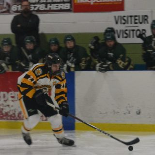 Cougars hockey