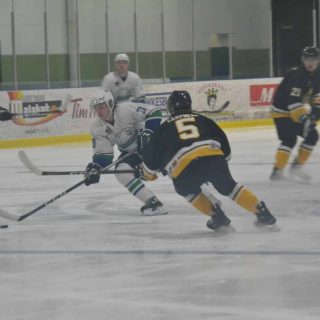 Hawks vs Bears