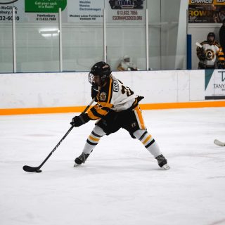Cougars hockey