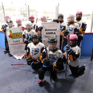 Falcons ringette