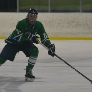 Hawks hockey