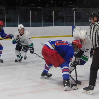 Hawks hockey