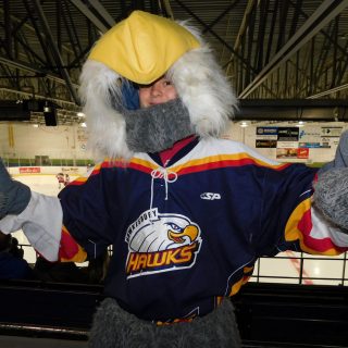 Hawks hockey