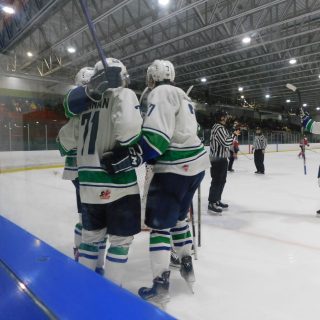 Hawks hockey