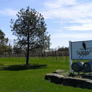 Le vignoble de Vankleek Hill est actuellement ouvert du jeudi au dimanche, de 11 h à 17 h. Visitez son site Web (vankleekhillvineyard.com) pour connaître ses prochaines heures d’ouverture en été. (Andrew Coppolino)