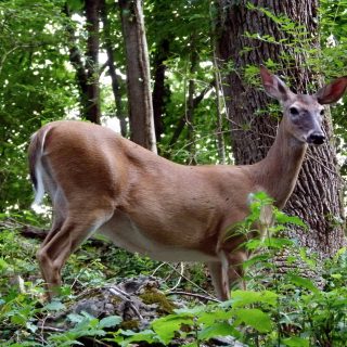 a4f041d4-c81f-44af-b54d-b643475dbcf9