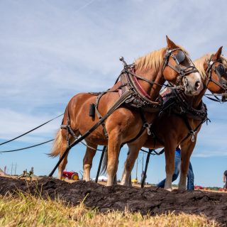 plowing match